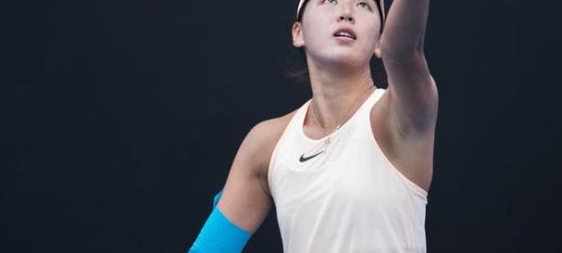 莎拉波娃遭遇七连败，瑞士队教练面临压力！的简单介绍