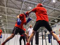  柔道龙虎榜在线观看普通话免费 