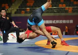  少年摔跤王经典语段有哪些 