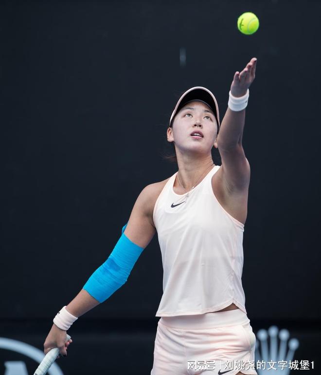 莎拉波娃遭遇七连败，瑞士队教练面临压力！的简单介绍